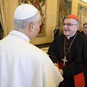 Kardinal Bozanić sudjelovao na audijenciji članova Dikasterija za evangelizaciju s papom Lavom XIV. 